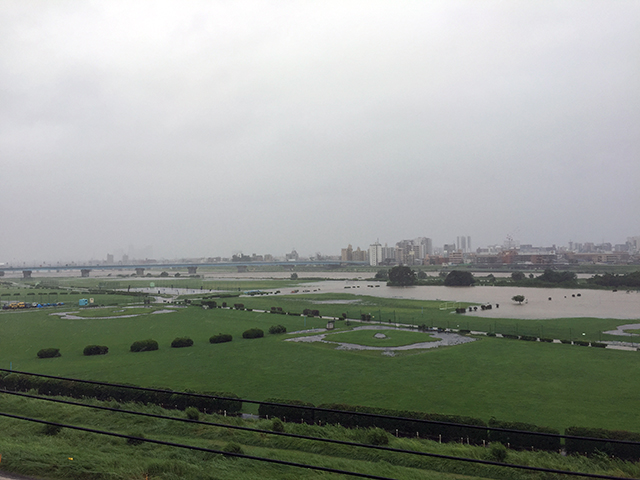 大雨が降ったときの多摩川は、河川敷に水があふれます。 河原にねぐらのあるツバメたちは、どこに避難してるんだろう？