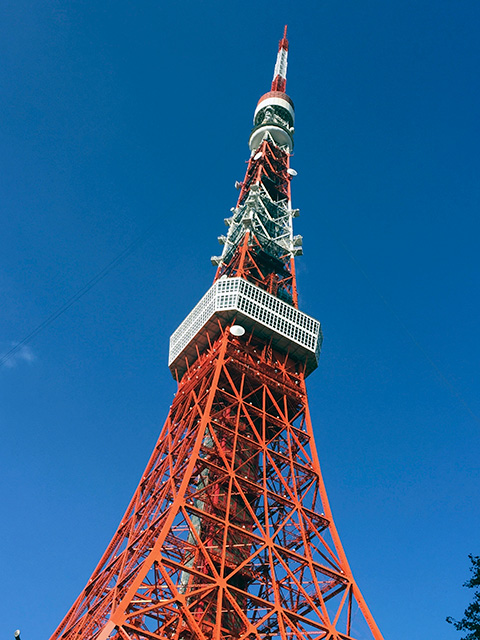 （東京タワーのすぐ近くにお店はあります）