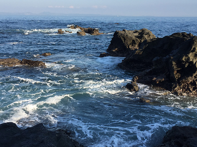 久々に海の青に染まりました。 海の向こうには 房総半島がくっきりと。