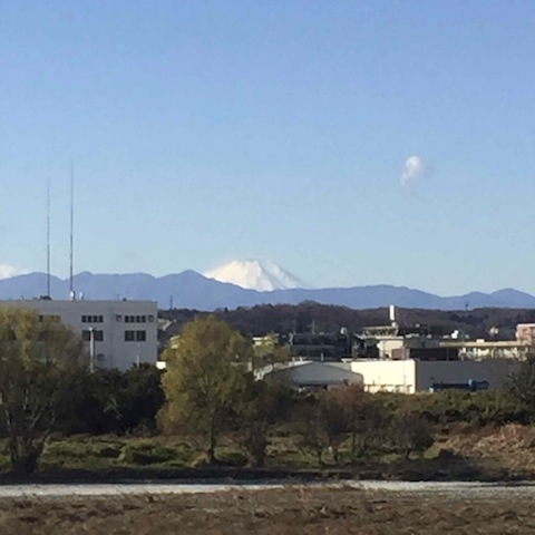 富士山みえる