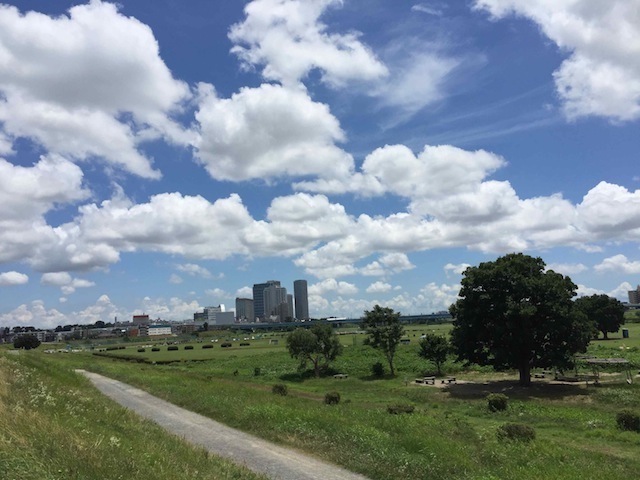 二子玉川の夏