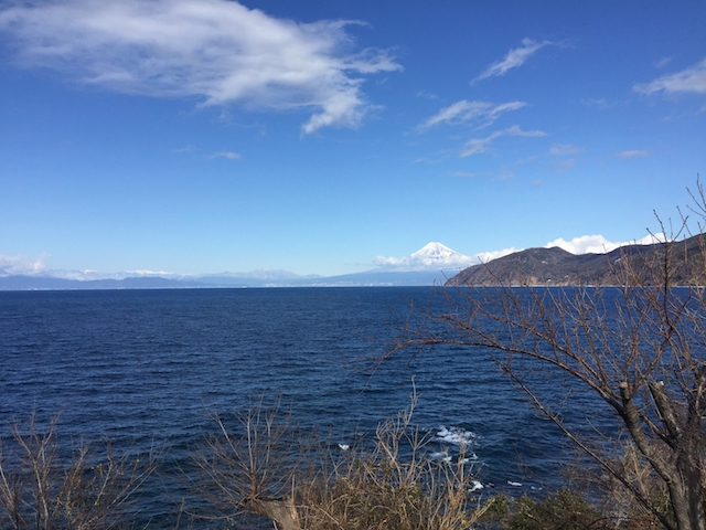 駿河湾と富士山