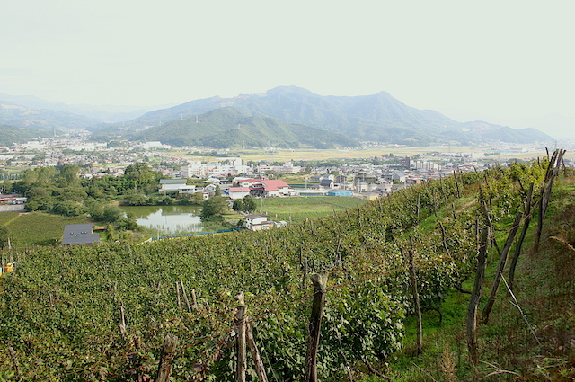 上山温泉