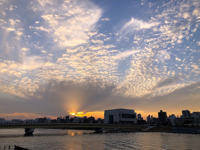 墨東の夕景