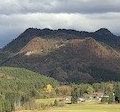秋田・新政酒造に 秋田・新政酒造に
