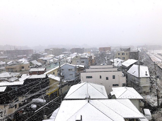 １月６日雪景色２