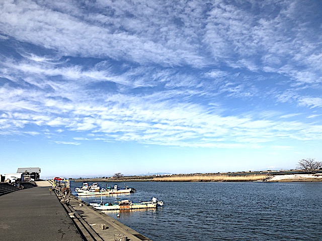 赤須賀漁港