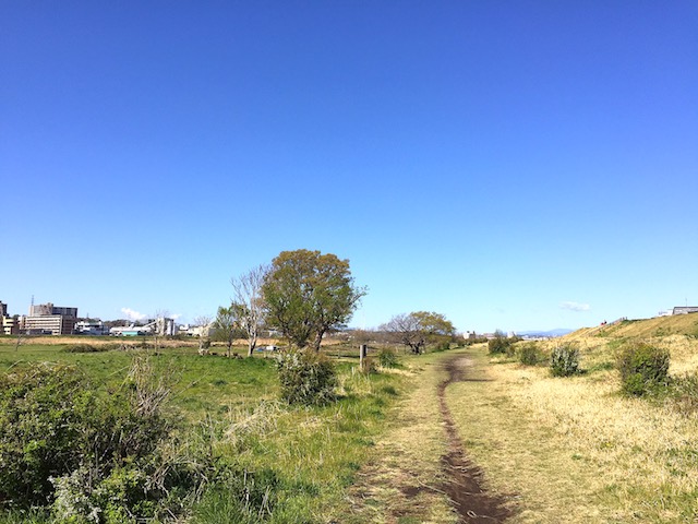 にこたま青空