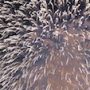 二子玉川で花火大会(22/10/21）
