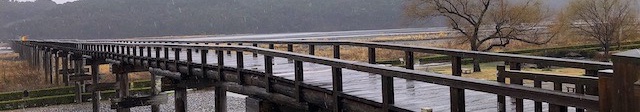 雨の蓬莱橋