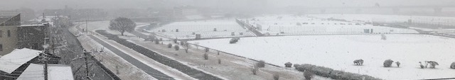 240205雪