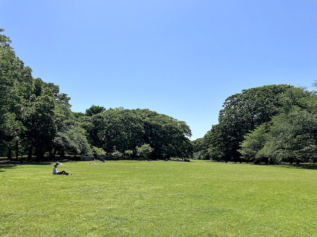 キヌタ公園３