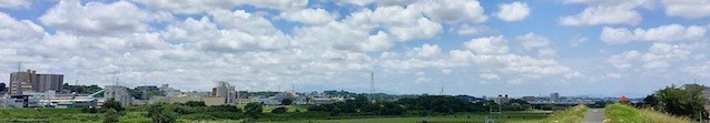 ハリスさん