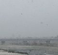 二子玉に春の雪