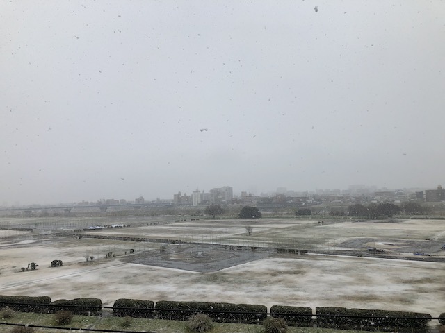 春の雪２