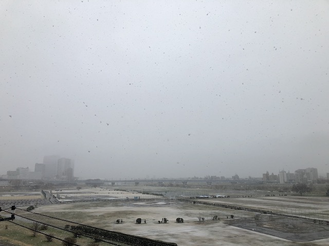 春の雪１
