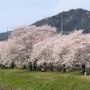 行く春を近江の人と惜しみける