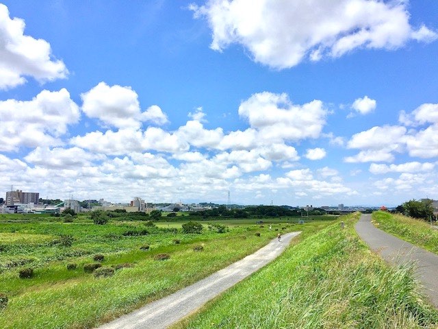 5月