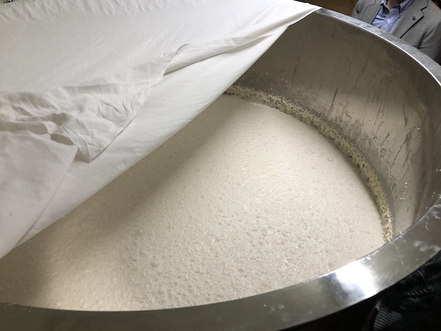発酵中