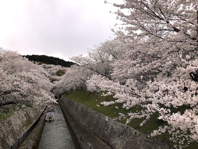 琵琶湖疎水