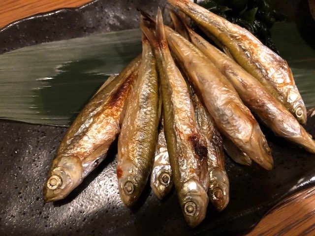 ホンモロコ