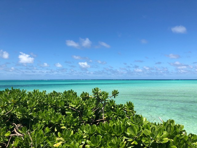 沖縄の浜２