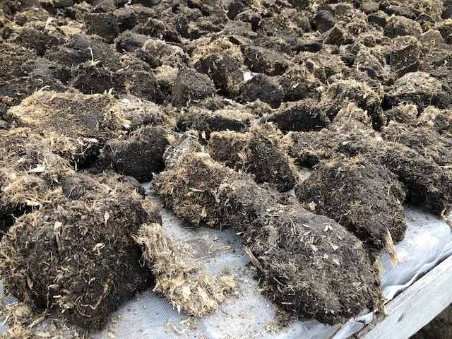 厚岸産のピート(泥炭)