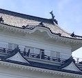 連載「ニッポンさかな酒」にて「小田原・アジな旅」掲載