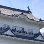 連載「ニッポンさかな酒」にて「小田原・アジな旅」掲載