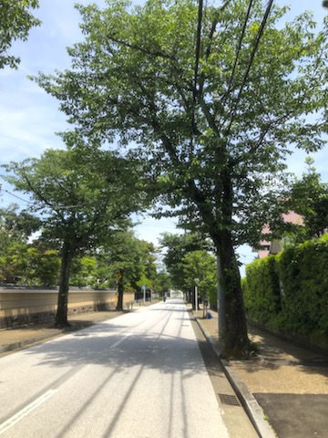 小田原の街２