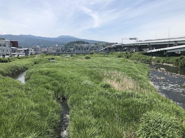 早川