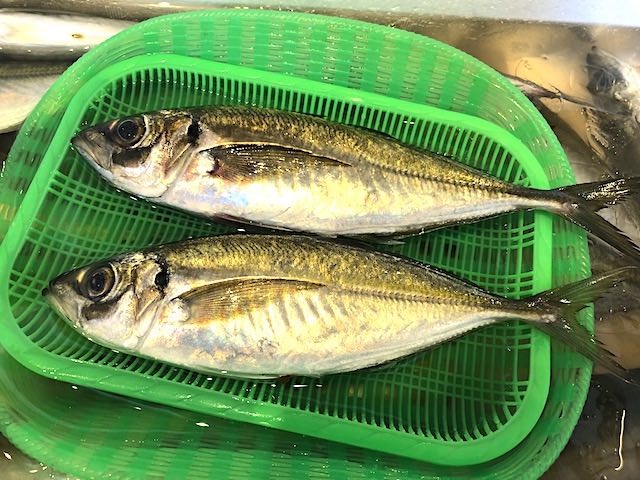 アジ魚屋さん