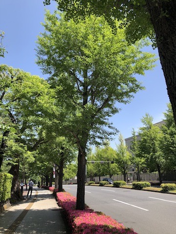 小田原の街１